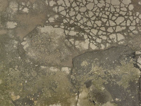 Rough brown asphalt texture, covered with cracks, broken and damp areas, and a large black tar patch.